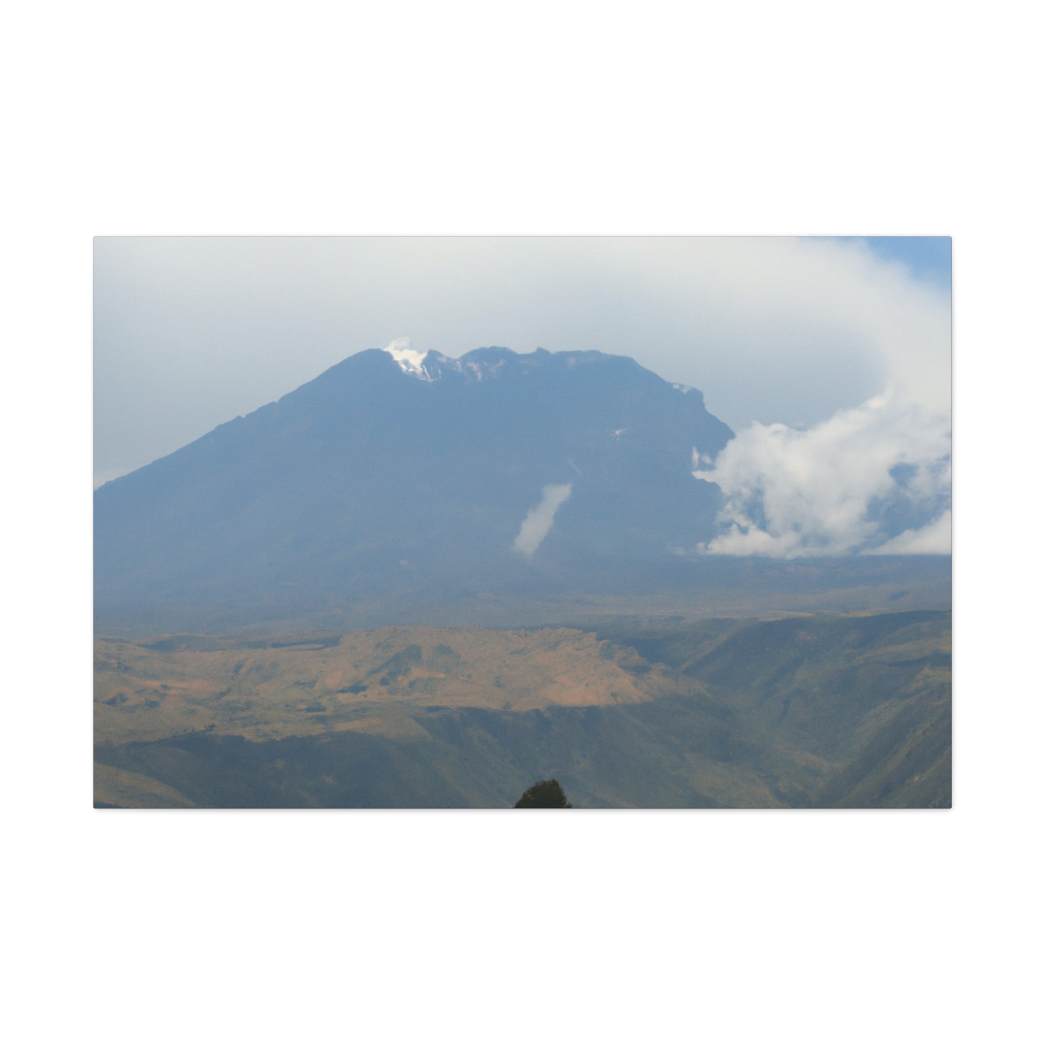 Carol Burnett: Beyond The Laughs Discover The Timeless Legacy & More! - i8w8efx