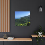 Winston Drewen - Canvas
