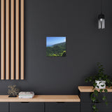 Winston Drewen - Canvas