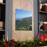 Winston Drewen - Canvas