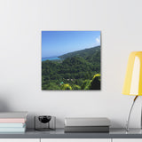 Winston Drewen - Canvas